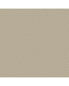 Shaw YOU GOT THIS I Natural Carpet - SH-5E560-00109