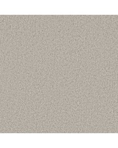 Shaw YOU GOT THIS I Chic Greige Carpet - SH-5E560-00111