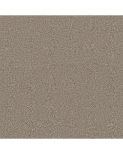 Shaw YOU GOT THIS I Cameo Carpet - SH-5E560-00113