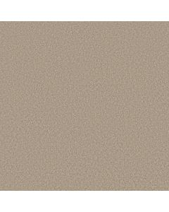 Shaw YOU GOT THIS I Subtle Clay Carpet - SH-5E560-00114