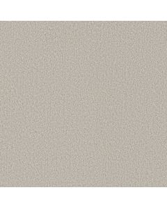 Shaw YOU GOT THIS I Sculpture Carpet - SH-5E560-00115