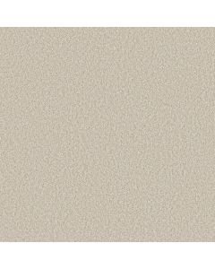 Shaw YOU GOT THIS I Warm Light Carpet - SH-5E560-00116