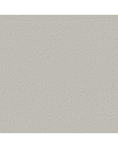 Shaw YOU GOT THIS I Whitecap Carpet - SH-5E560-00155