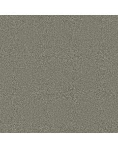 Shaw YOU GOT THIS I Rerooted Nature Carpet - SH-5E560-00300