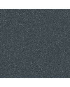 Shaw YOU GOT THIS I Refined Carpet - SH-5E560-00402