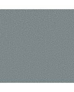 Shaw YOU GOT THIS I Sea Ice Carpet - SH-5E560-00403