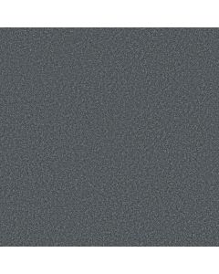 Shaw YOU GOT THIS I Reflection Carpet - SH-5E560-00454