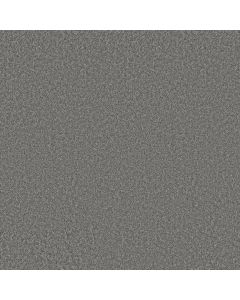 Shaw YOU GOT THIS I Ashes Carpet - SH-5E560-00501