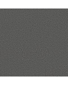 Shaw YOU GOT THIS I Shadow Carpet - SH-5E560-00502
