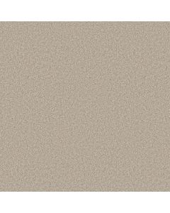 Shaw YOU GOT THIS II Natural Carpet - SH-5E561-00109