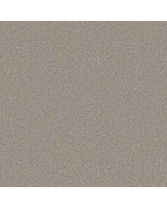 Shaw YOU GOT THIS II Chic Greige Carpet - SH-5E561-00111
