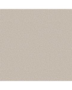 Shaw YOU GOT THIS II Warm Light Carpet - SH-5E561-00116