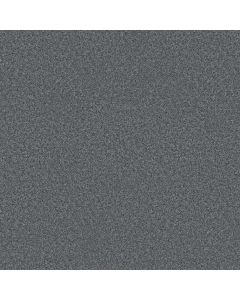 Shaw YOU GOT THIS II Reflection Carpet - SH-5E561-00454
