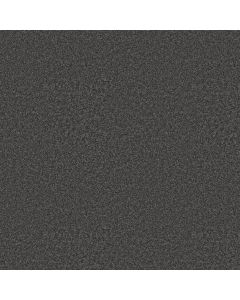Shaw YOU GOT THIS II Shadow Carpet - SH-5E561-00502