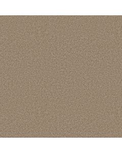 Shaw YOU GOT THIS II Worn Path Carpet - SH-5E561-00700