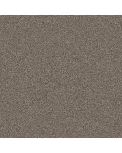 Shaw YOU GOT THIS II Cobblestone Carpet - SH-5E561-00750