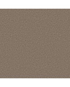 Shaw YOU GOT THIS III Cameo Carpet - SH-5E562-00113