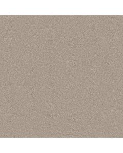 Shaw YOU GOT THIS III Subtle Clay Carpet - SH-5E562-00114