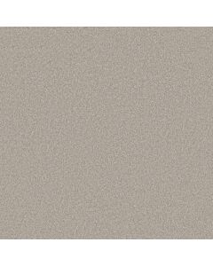 Shaw YOU GOT THIS III Sculpture Carpet - SH-5E562-00115