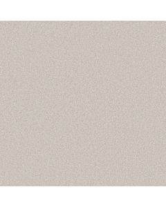 Shaw YOU GOT THIS III Whitecap Carpet - SH-5E562-00155