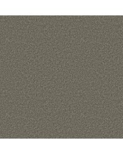 Shaw YOU GOT THIS III Rerooted Nature Carpet - SH-5E562-00300