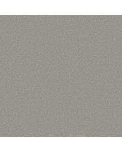 Shaw YOU GOT THIS III Frosted Leaf Carpet - SH-5E562-00353