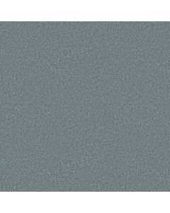 Shaw YOU GOT THIS III Sea Ice Carpet - SH-5E562-00403