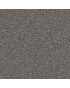 Shaw YOU GOT THIS III Ashes Carpet - SH-5E562-00501