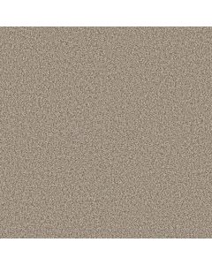 Shaw YES YOU CAN I 12' Natural Carpet - SH-5E568-00109