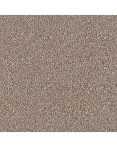 Shaw YES YOU CAN I 12' Glacier Carpet - SH-5E568-00110