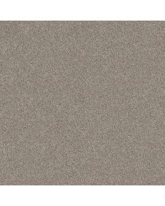 Shaw YES YOU CAN I 12' Sculpture Carpet - SH-5E568-00115