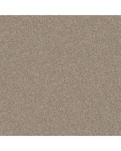 Shaw YES YOU CAN II 12' Natural Carpet - SH-5E569-00109