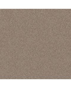 Shaw YES YOU CAN II 12' Subtle Clay Carpet - SH-5E569-00114