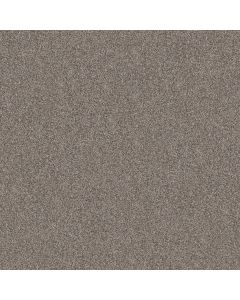 Shaw YES YOU CAN III 12' Chic Greige Carpet - SH-5E570-00111