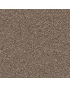 Shaw YES YOU CAN III 12' Honeycomb Carpet - SH-5E570-00207