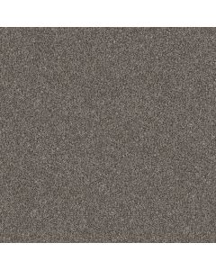 Shaw YES YOU CAN I 15' Marble Carpet - SH-5E571-00103