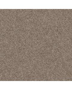 Shaw YES YOU CAN I 15' Cameo Carpet - SH-5E571-00113