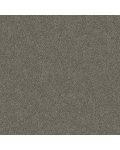 Shaw YES YOU CAN I 15' Rerooted Nature Carpet - SH-5E571-00300