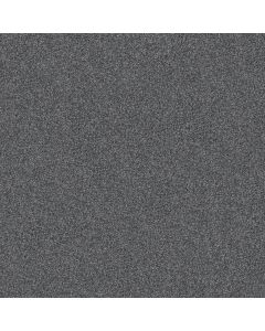 Shaw YES YOU CAN II 15' Refined Carpet - SH-5E572-00402