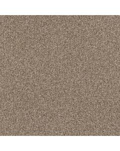 Shaw YES YOU CAN III 15' Sea Shell Carpet - SH-5E573-00100