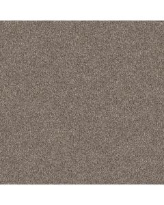 Shaw YES YOU CAN III 15' Soft Sense Carpet - SH-5E573-00112