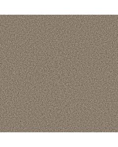 Shaw ARTISTIC FUSION I Sea Shell Carpet - SH-5E574-00100