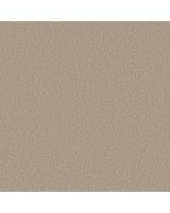 Shaw ARTISTIC FUSION I Cashmere Carpet - SH-5E574-00104