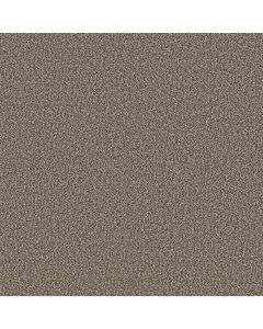 Shaw ARTISTIC FUSION I Soft Sense Carpet - SH-5E574-00112