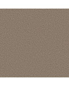 Shaw ARTISTIC FUSION I Cameo Carpet - SH-5E574-00113