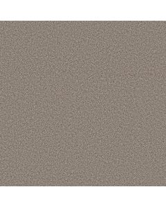 Shaw ARTISTIC FUSION I Warm Light Carpet - SH-5E574-00116