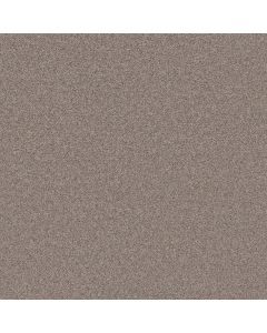 Shaw ARTISTIC FUSION I Moonwalk Carpet - SH-5E574-00118
