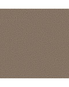 Shaw ARTISTIC FUSION I Honeycomb Carpet - SH-5E574-00207