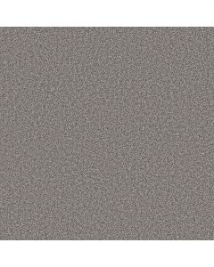 Shaw ARTISTIC FUSION I Ashes Carpet - SH-5E574-00501