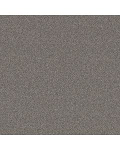 Shaw ARTISTIC FUSION I Shadow Carpet - SH-5E574-00502